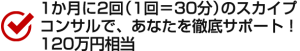 1カ月に2回（1回＝30分）のスカイプコンサルで、あなたを徹底サポート！120万円相当