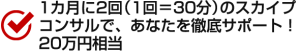 1カ月に2回（1回＝30分）のスカイプコンサルで、あなたを徹底サポート！20万円相当