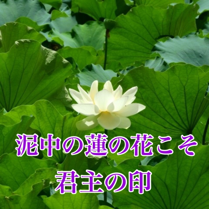 日本はバブル崩壊後に育てられた世代が活躍する時代に突入